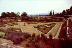 The Great Plat from the Grey Walk. Photograph, July 1975.