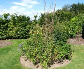 Circular bed