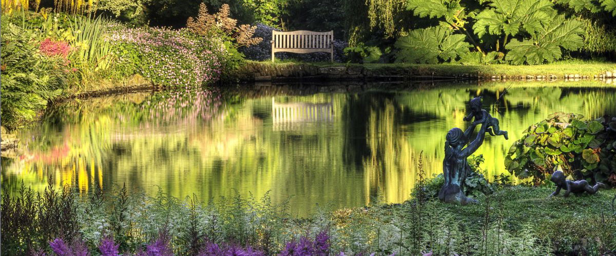Astilbes and lake