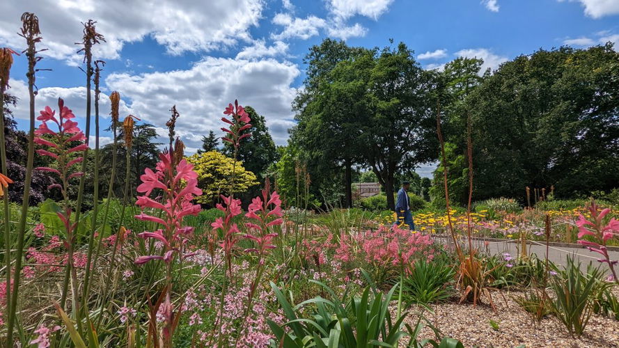 Horniman Grasslands Garden Horniman Museum and Gardens