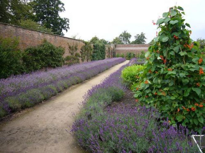 Pgds 20080508 221900 Beningbrough Hall Walled Garden