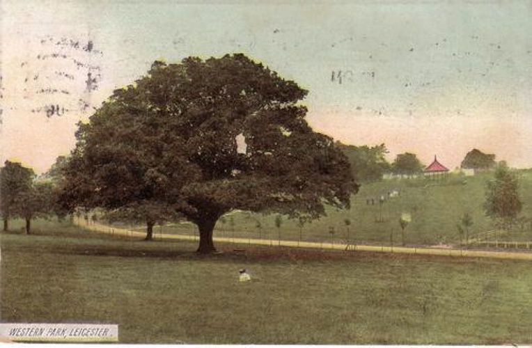 Pgds 20080912 160855 Major Oak Franked 1913
