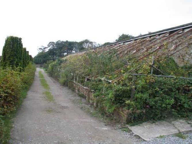 Pgds 20081113 181430 The Derelict Vinery In The Walled Hgarden