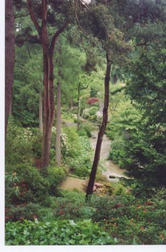 Pgds 20081127 134142 Looking Into The Dell Bodnant Wales1993