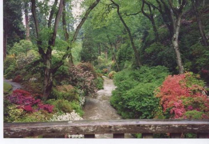 Pgds 20081127 135432 The Dell Bodnant Wales 1993 From Bridge