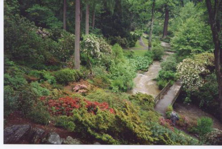 Pgds 20081127 140921 View Into The Dell Bodnant Wales1993