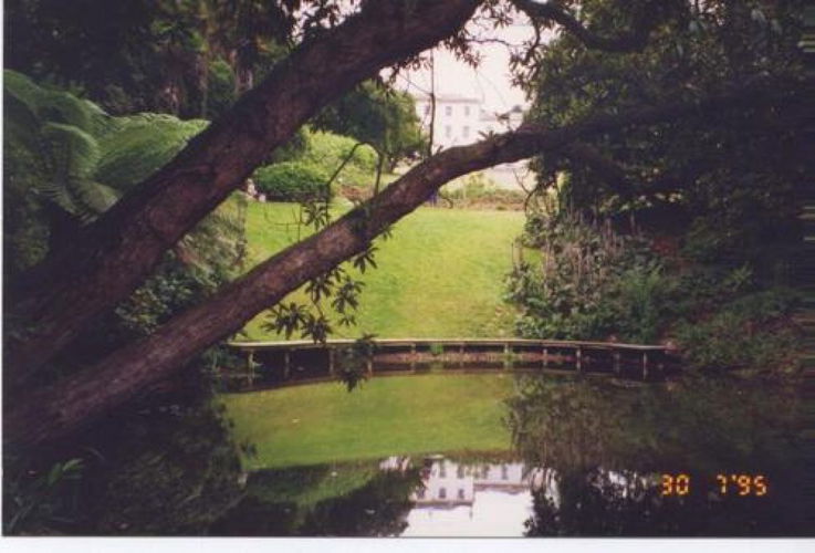 Pgds 20081204 164125 Lost Gardens Of Heligan Top Lake In Jungle Garden 1995