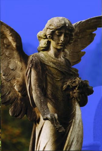 Pgds 20090430 093937 Arnos Angel Cd