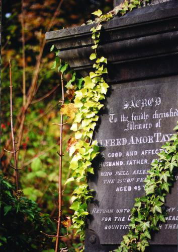 Pgds 20090430 103148 Grave Detail