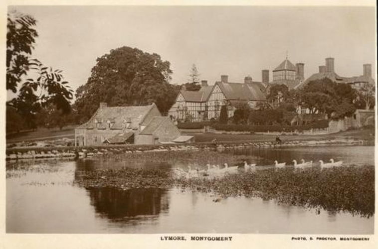 Pgds 20090830 185537 Lymore5