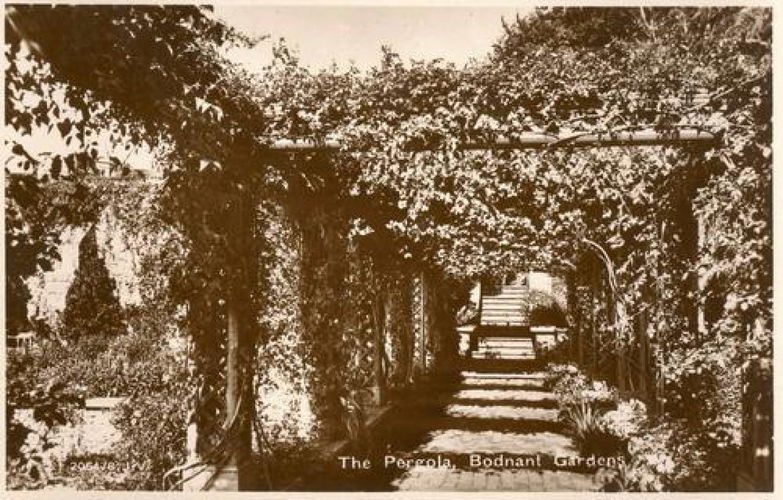 Pgds 20100119 194710 Bodnant15