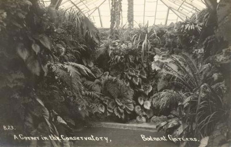 Pgds 20100119 205518 Bodnant38
