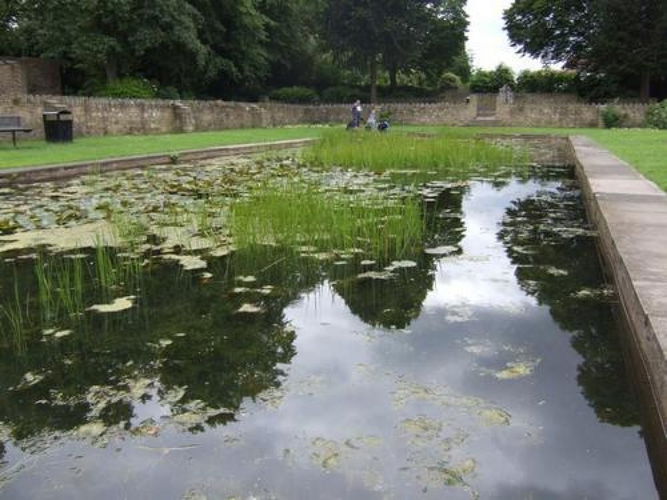 Pgds 20100810 202431 4