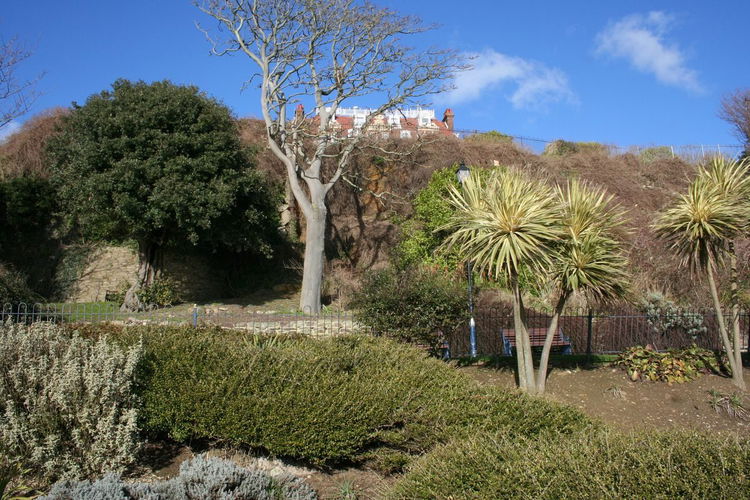 Pgds 20130314 155608 022