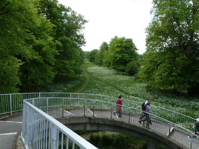 Pgds 20140205 133752 Tring Park Lime Tree Avenue From A41 Footbridge 2011