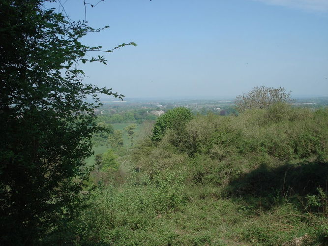 Pgds 20140205 134519 Tring Park Reopened Vista From King Charles Ride Towards The Mansion 2013