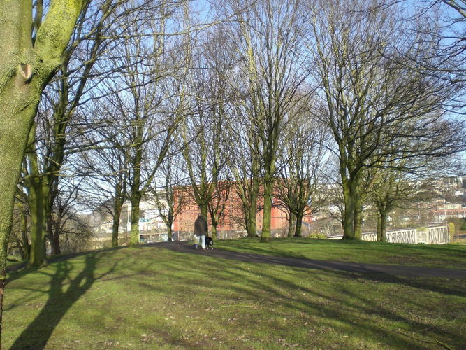 Pgds 20140307 122145 Ground Shaping Beech Trees Soften The Impact Of The Surounding Urban Areas