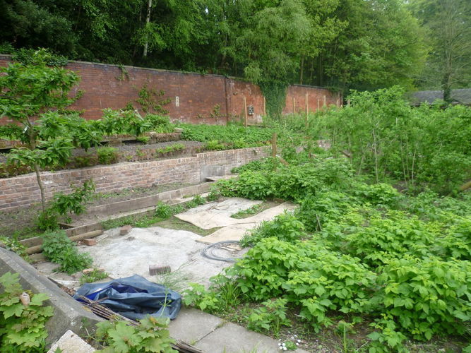 Pgds 20140506 145318 Kitchen Garden