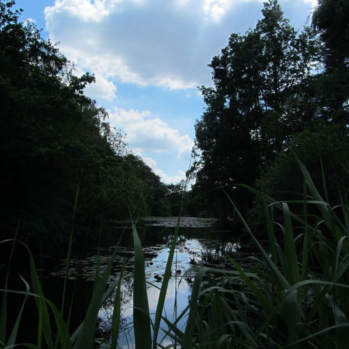 Pgds 20140618 192053 Img 3025