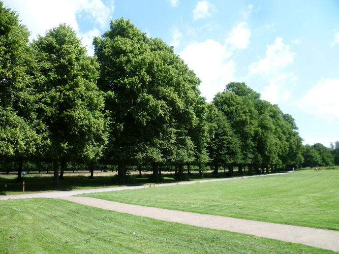 Pgds 20140714 200339 Lime Walk 1