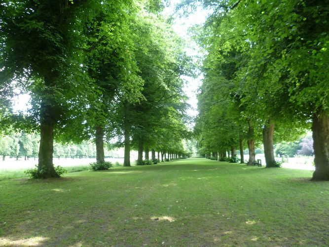 Pgds 20140714 200703 Lime Walk 2