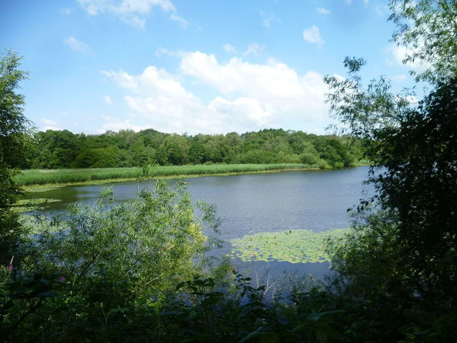 Pgds 20140714 202301 Bedworth Mere 1