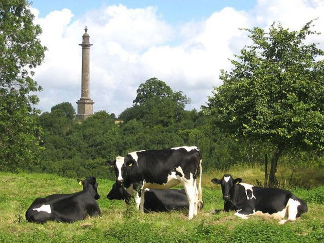 Pgds 20140724 201551 Burton Pynsent Monument Geograph Org Uk 1577466