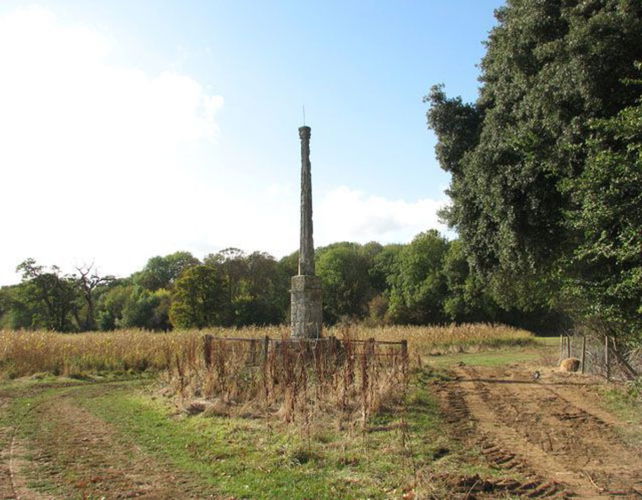 Pgds 20140909 152638 Langley Cross   On The Eastern Edge Of The Thicks   Geograph Org Uk   1551197