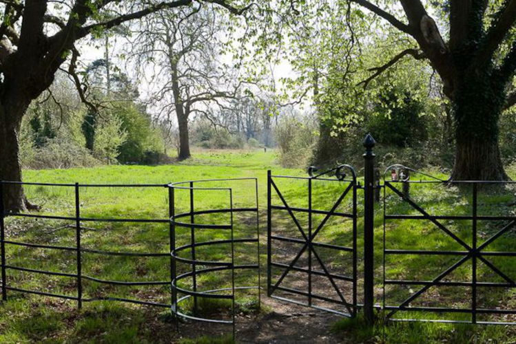 Pgds 20140915 145722 Avenue Park North Stoneham   Geograph Org Uk   1236634
