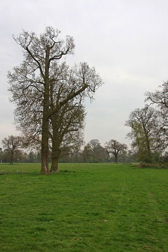 Pgds 20141001 202457 400Px Wrotham P