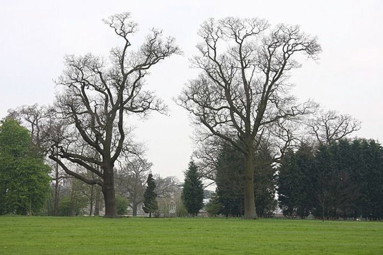 Pgds 20141002 193955 Wrotham Park   Geograph Org Uk   1257751