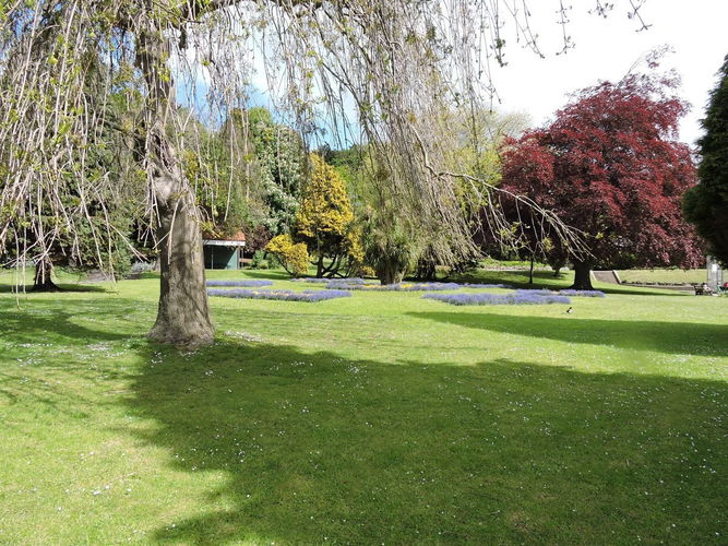 Pgds 20150528 213523 Trees And Planting