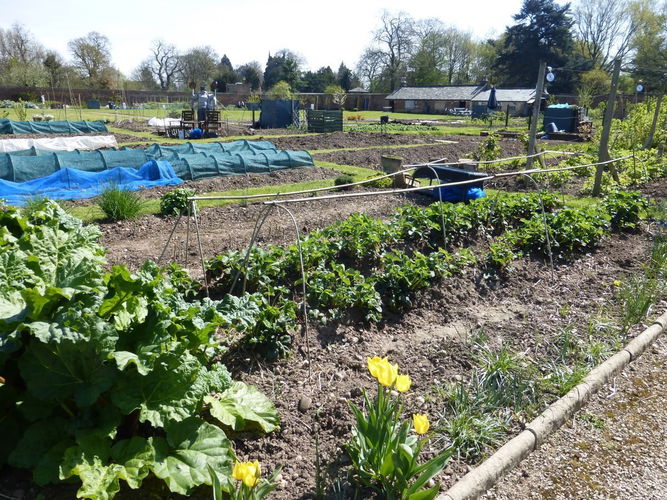 Pgds 20150728 112932 Allotments