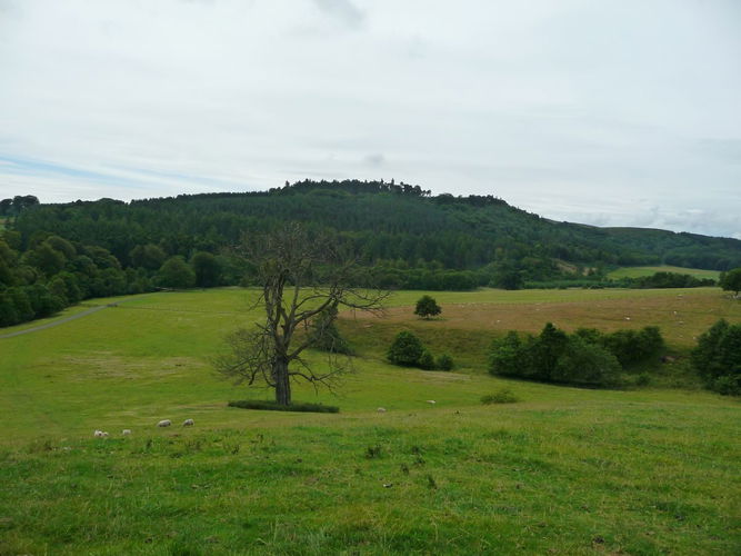 Pgds 20150924 153217 Hulne Priory 14