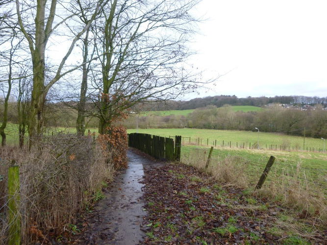 Pgds 20160113 105307 Path Through The Grounds