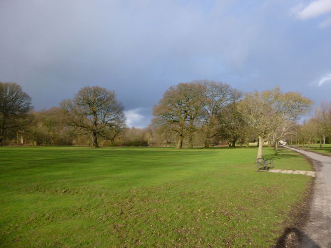 Pgds 20160201 152141 Parkland And Specimen Trees