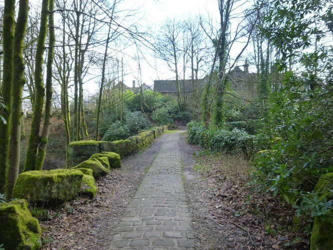 Pgds 20160219 161649 Path Over The Bridge
